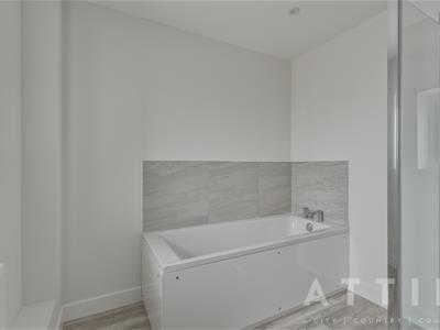 Picture 27